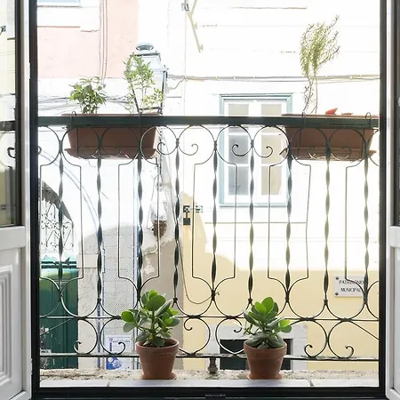 Santos Typical&cosy Apartamento *