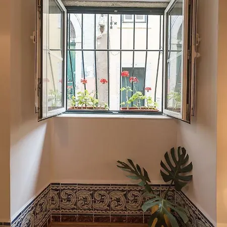 Santos Typical And Cosy