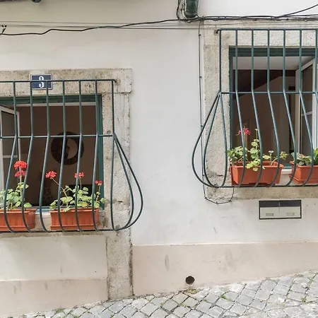 Santos Typical And Cosy